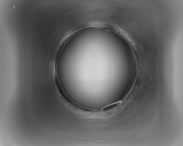 X0000112740011200908201356