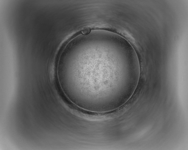 X0000112740012200908201355