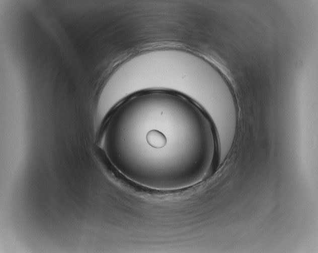 X0000112740013200908201355