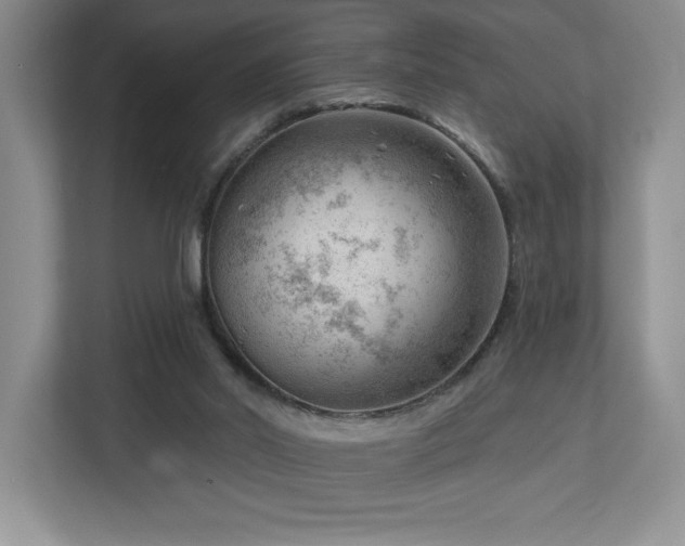 X0000112740014200908201355