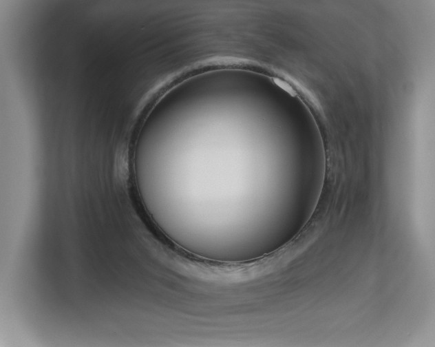 X0000112740015200908201355