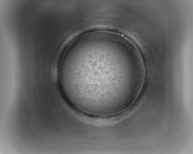 X0000112740016200908201355