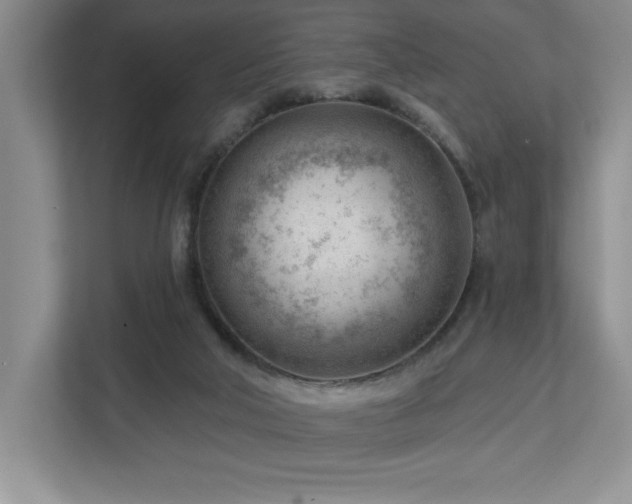 X0000112740018200908201355
