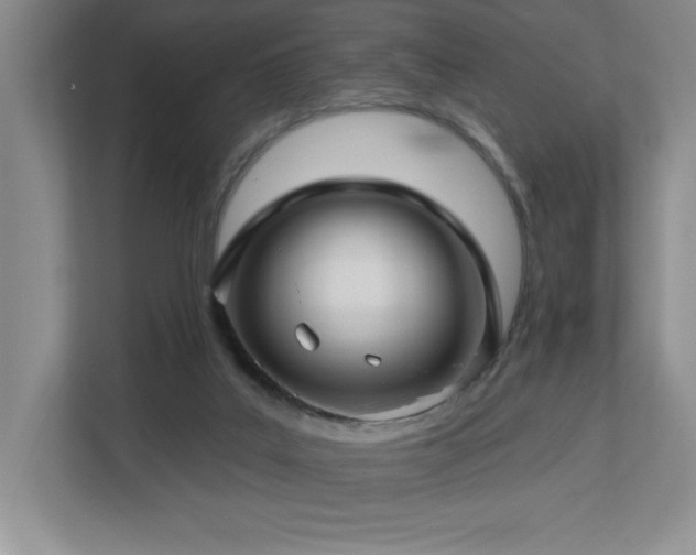 X0000112740019200908201355