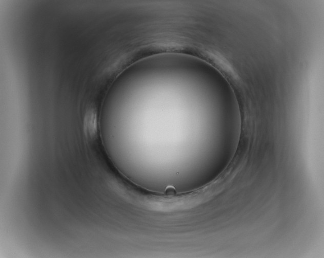 X0000112740021200908201355