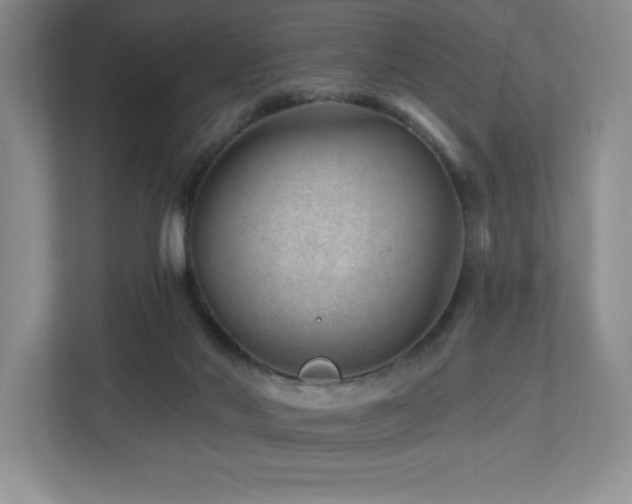 X0000112740022200908201355
