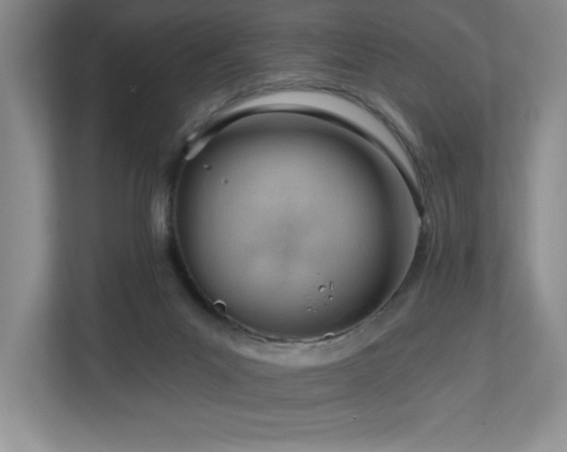 X0000112740023200908201355