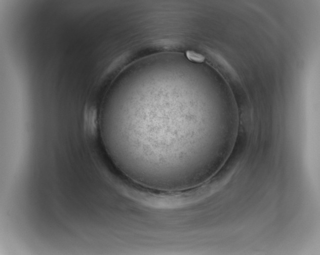 X0000112740024200908201355