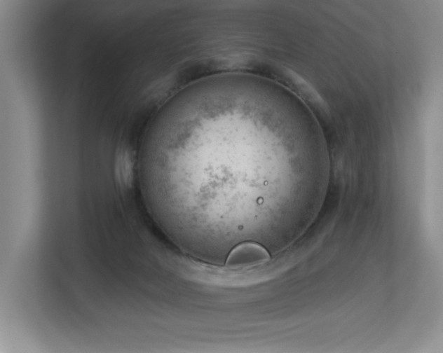 X0000112740026200908201355