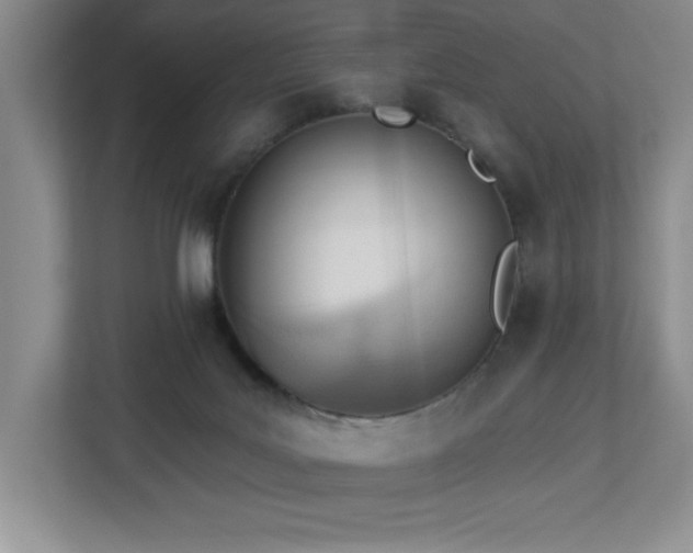 X0000112740027200908201355