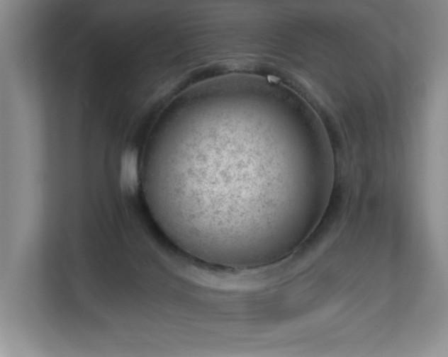 X0000112740028200908201355