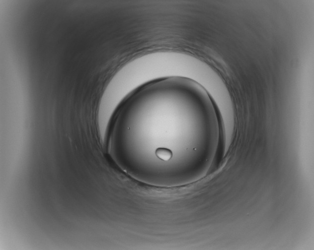 X0000112740029200908201355