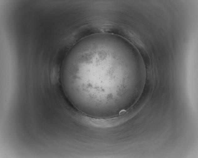 X0000112740030200908201355