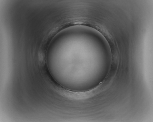 X0000112740031200908201355