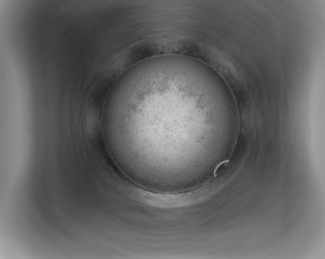X0000112740034200908201355