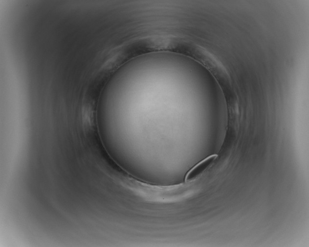 X0000112740035200908201355