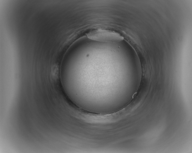 X0000112740036200908201355