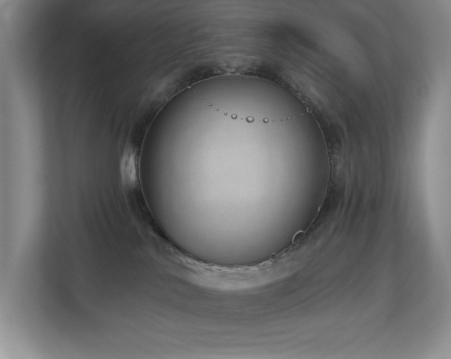 X0000112740042200908201355