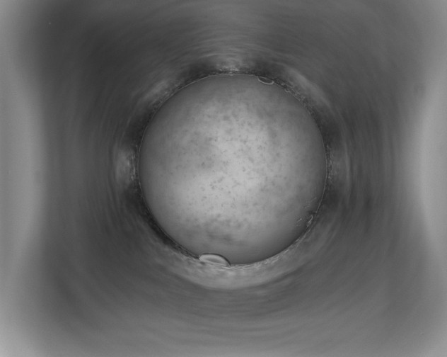 X0000112740043200908201355