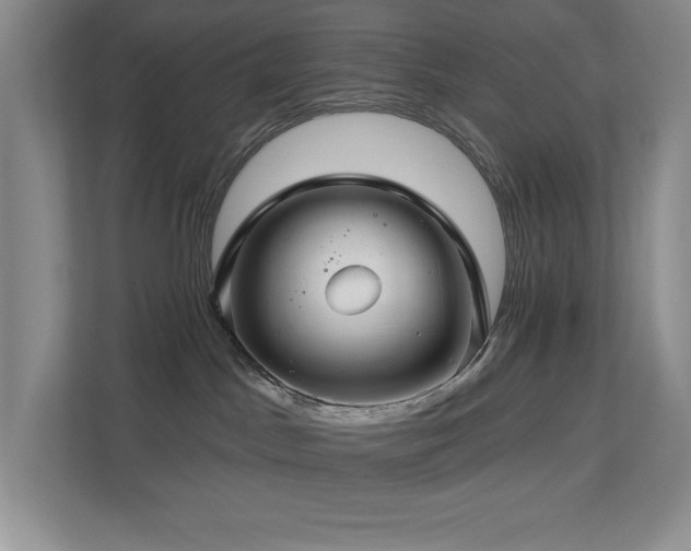X0000112740045200908201355