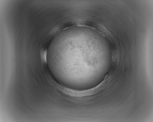 X0000112740047200908201355