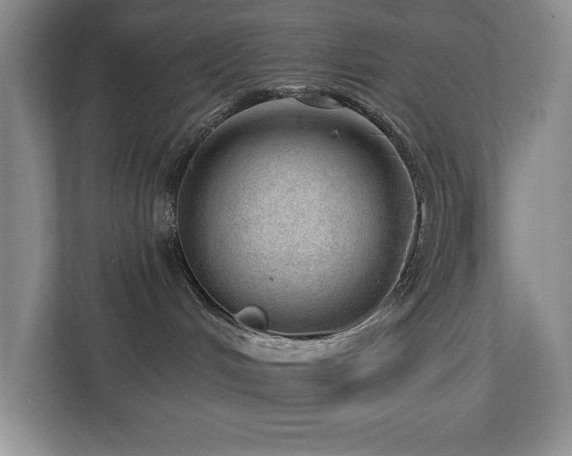 X0000112740048200908201355