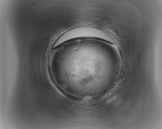 X0000112740049200908201354