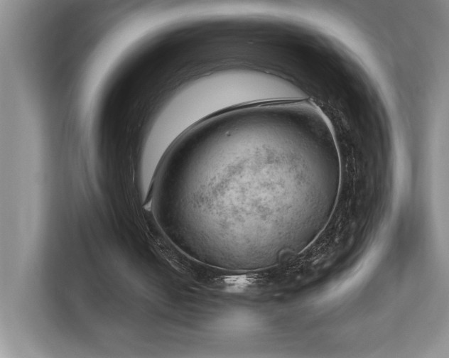 X0000112740050200908201354