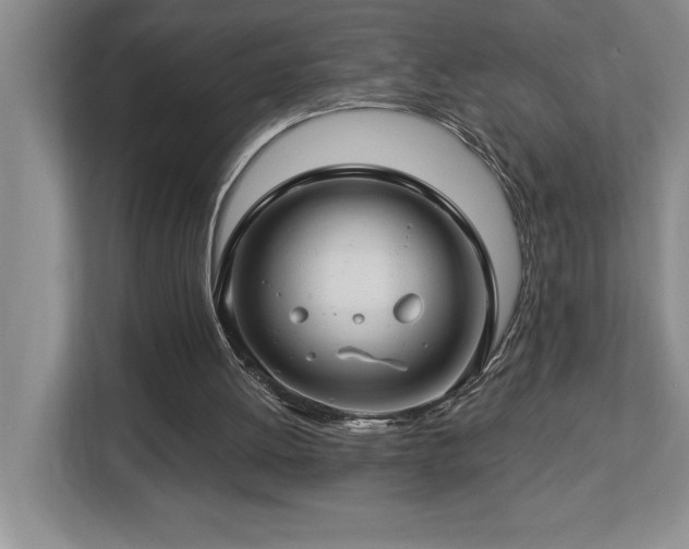 X0000112740052200908201354