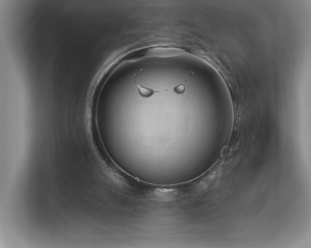 X0000112740055200908201354