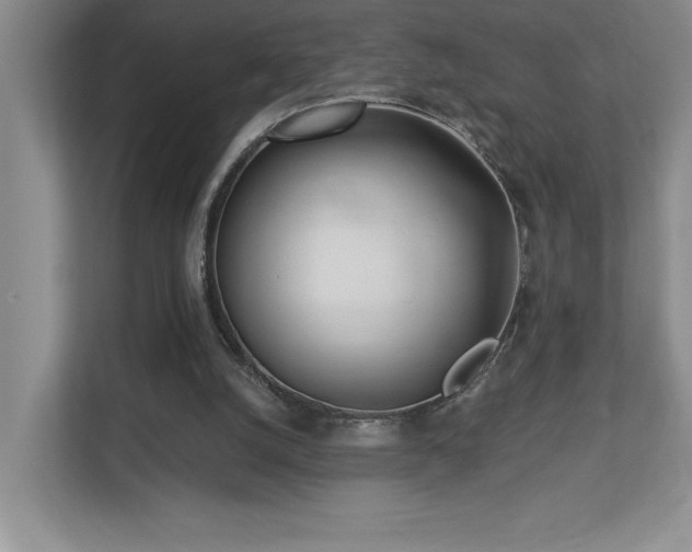 X0000112740056200908201354