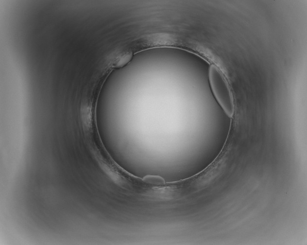 X0000112740057200908201354