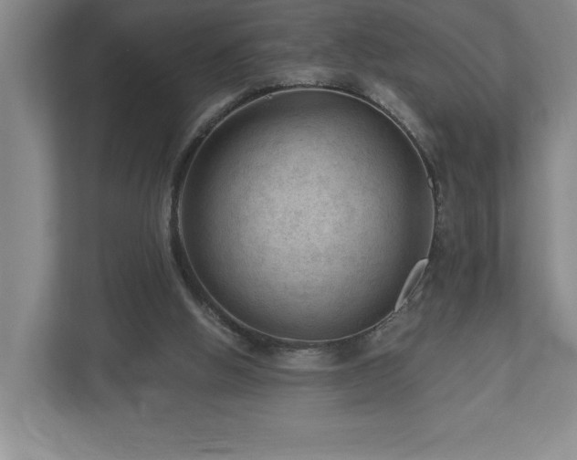 X0000112740058200908201354