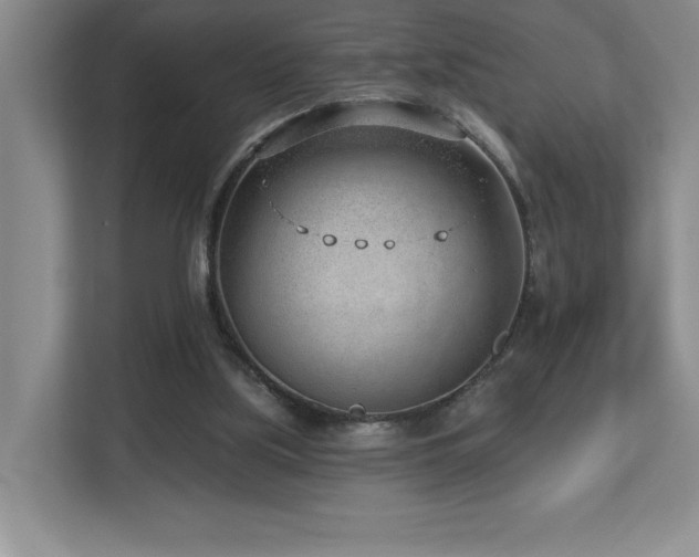 X0000112740059200908201355