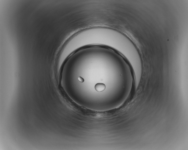 X0000112740060200908201355