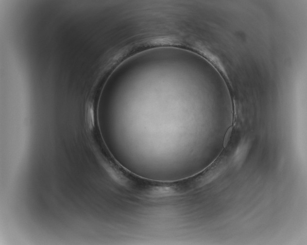 X0000112740061200908201355