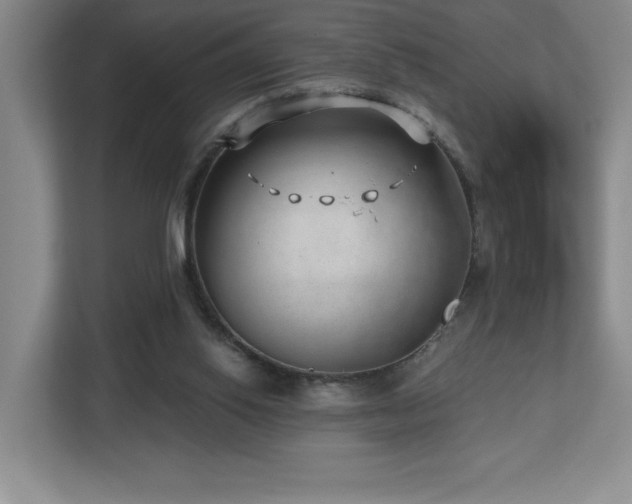 X0000112740062200908201355
