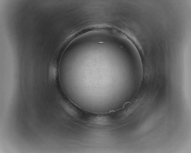 X0000112740063200908201355