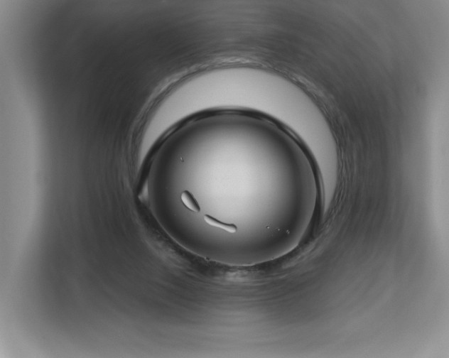 X0000112740064200908201355