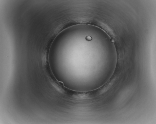 X0000112740065200908201355