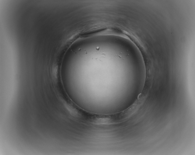 X0000112740066200908201355