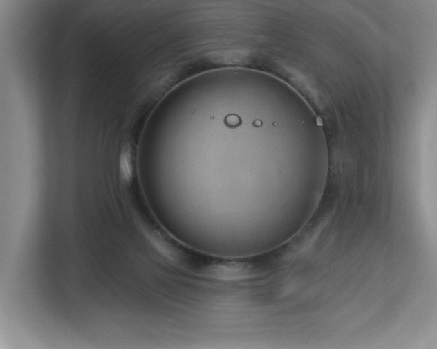 X0000112740069200908201355