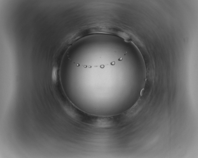 X0000112740070200908201355