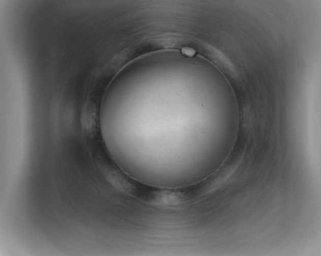 X0000112740073200908201355