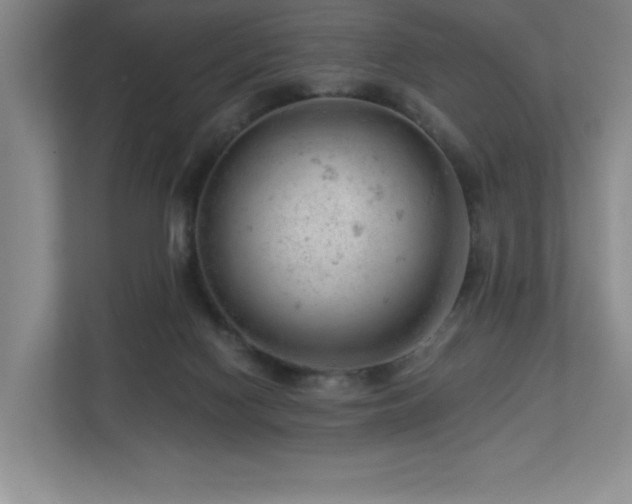 X0000112740074200908201355