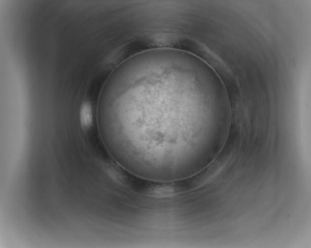 X0000112740075200908201355