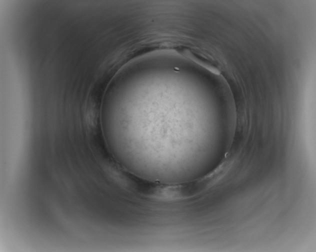 X0000112740078200908201355