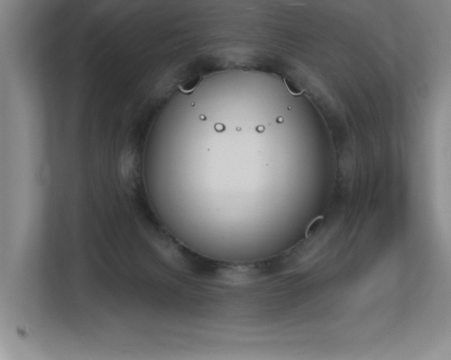 X0000112740079200908201355