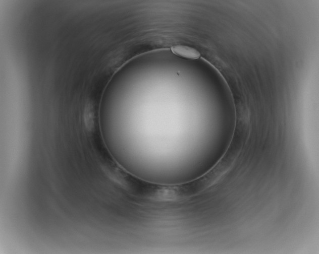 X0000112740080200908201355