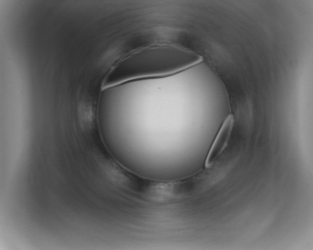 X0000112740084200908201355
